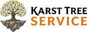karsttreeservicesoneidany.com