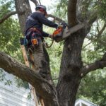 Tree Fell on My House in Oneida, NY: What to Do in the First 24 Hours